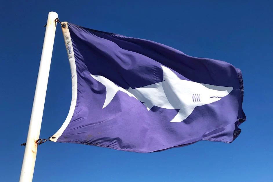 A purple shark warning flag flies against a clear blue sky.